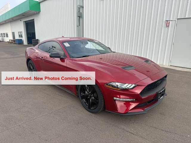 2021 Ford Mustang EcoBoost®