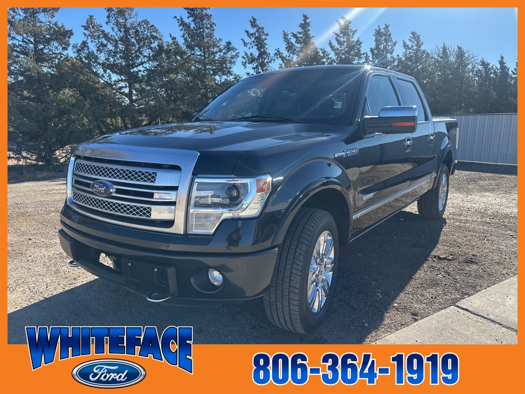 2013 Ford F-150 Platinum