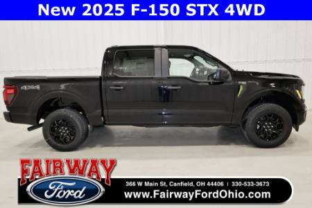2025 Ford F-150 STX
