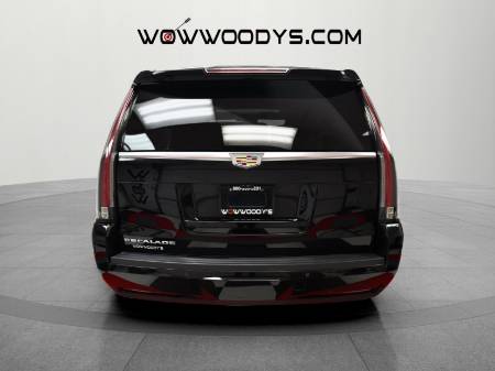 Showcase Image
