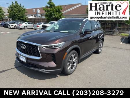 2022 INFINITI QX60 LUXE