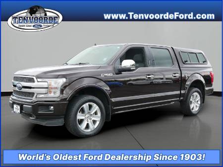 2019 Ford F-150 Platinum