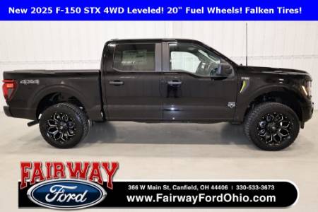 2025 Ford F-150 STX