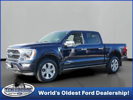 2022 Ford F-150 Platinum