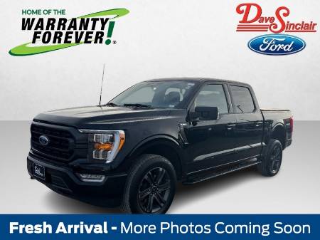 2023 Ford F-150 XLT 4WD SuperCrew 5.5' Box
