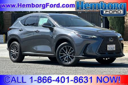2024 Lexus NX NX 250