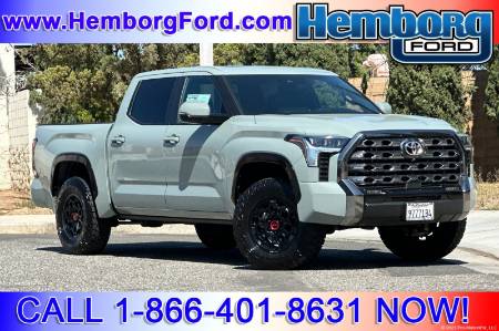 2025 Toyota Tundra 4WD Platinum