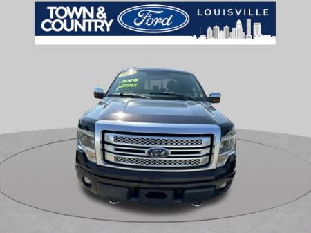 2013 Ford F-150 Platinum